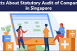 Facts About Statutory Audit of Companies in Singapore