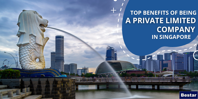 top-benefits-of-being-a-private-limited-company-singapore