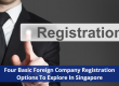 Four Basic Foreign Company Registration Options To Explore In Singapore