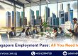 The Singapore Employment Pass