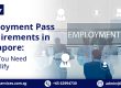 Employment Pass, Employment Pass in Singapore