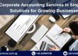 Accounting Services, Accounting Service Provider, Accounting Bookkeeping Services, Accounting Bookkeeping Services Singapore